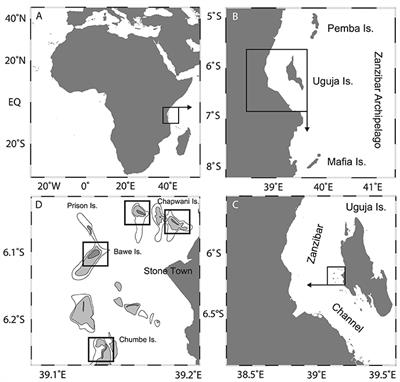 Calcium Carbonate Production, Coral Cover and Diversity along a Distance Gradient from Stone Town: A Case Study from Zanzibar, Tanzania